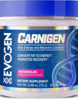 Evogen Carnigen Watermelon  Carnitine Fat Burning Powder