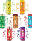 NJY Sparkling PREBIOTIC SODA Includes 2000mg APPLE CIDER VINEGAR REAL Fruit Juice Low Calories  Sugar 100 Vitamin C B3 B5 B6 B12 12oz cans ROOT BEER