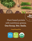 Amazing Grass Vegan Protein & Kale Powder: 20g of Organic Protein + 1 Cup Leafy Greens per Serving, Mixed Berry, 15 Servings, 1.12 Pound (Pack of 1)