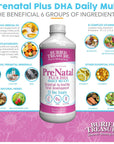 Buried Treasure Prenatal Plus DHA Complete, 16 oz, Natural DHA Omega3 Iron