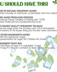 FreshDrinkUS Premium 45 Spearmint Tea Bags 100 Natural Spearmint Leaves Loose Leaf Spearmint Herbal Tea Spearmint Leaf Tea No Sugar No Caffeine No Gluten Vegan