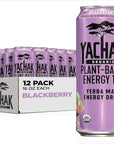 Yachak Yerba Mate Drink, Blackberry, 16 Fl Oz Cans, Pack of 12