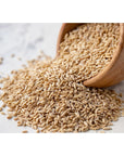 Food to Live Whole Grain Oat Groats  Oat Berries in Bulk Kosher Hulless Seeds Rich in Protein Soluble Fiber Suited for Grinding Great for Hot Cereal Salads and Stews Vegan Hulled Kernels