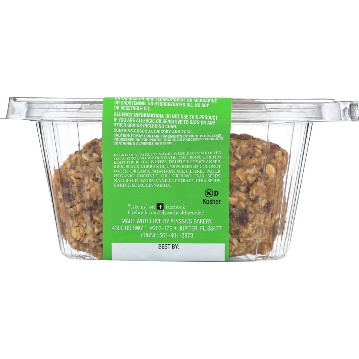 ALYSSAS Healthy Oatmeal Bites 6 OZ