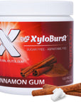 XyloBurst Gum  Xylitol Chewing Gum  Sugar Free Gluten Free Keto Friendly  Aspartame Free Gum For Oral Health  Cinnamon  100Count Jar