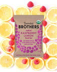 Bearded Brothers Vegan Organic Food Bar | Gluten Free, Paleo and Whole 30 | Soy Free, Non GMO, Low Glycemic, No Sugar Added, Packed with Protein, Fiber + Whole Foods | Raspberry Lemon | 12 Pack