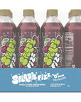 Splash Fizz Black Cherry Flavored Sparkling Water Zero Sugar with Electrolytes 20 Fl Oz 12 Pack