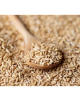 Food to Live Whole Grain Oat Groats  Oat Berries in Bulk Kosher Hulless Seeds Rich in Protein Soluble Fiber Suited for Grinding Great for Hot Cereal Salads and Stews Vegan Hulled Kernels