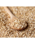 Food to Live Whole Grain Oat Groats  Oat Berries in Bulk Kosher Hulless Seeds Rich in Protein Soluble Fiber Suited for Grinding Great for Hot Cereal Pilafs Salads and Stews Vegan