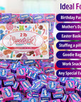 Bulk Nerds Candy 2lbs Pack  Nerds Mini Boxes Grape and Strawberry Hard Candy Nerds Bulk Nerds Candy Mini Boxes  Delicious Individually Wrapped Candy for Easter Kids Office Party