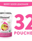 Honest Kids Berry Berry Good Lemonade Organic Fruit Juice Drink 675 fl oz 32 Pack