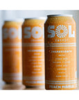 Sol Energy  Natural Energy Drink  Healthy Sugar Free Formula  Naturally Sweetened with Stevia and Monk Fruit  150mg of Caffeine  Low Calorie  Peach Mango Flavor  16oz cans Pack of 12