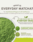 Sencha Eveyrday Natural USDA Organic Matcha Green Tea Powder Rich Antioxidant Revitalizing Body Helathy Gluten Free Product 100 Vegan Diet  12oz Pack of 1