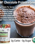 Plantvital Vegan Protein Powder Plant Based - Organic Protein Powder Chocolate - 24g/0g Sugar, 18 Superfoods, Probiotics, Raw Cocoa, Pea, Gluten-Free, Keto-Friendly, 16oz