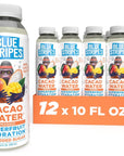 Blue Stripes Cacao Water Mango  AllNatural No Sugar Added Superfruit Hydration  Electrolytes  Antioxidants  Vitamin C  B  No Artificial Ingredients  12 Pack