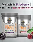 Garden of Life Sport Organic Plant-Based Energy + Focus Vegan Clean Pre Workout Powder, Sugar & Gluten Free BlackBerry Cherry with 85mg Caffeine, Natural NO Booster, B12, 40 Servings, 8.14 Oz