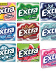 Extra Gum Variety 9 Pack of Sugar Free Gum Bubble Gum Chewing Gum Bulk Gum Packs Mint Gum Spearmint Gum Bubble Gum Bulk Cinnamon Gum Watermelon Gum Extra