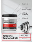 Creatine Monohydrate Powder | 17.6oz (1.1 lb) | Micronized and Unflavored | Vegetarian, Non-GMO, and Gluten Free Supplement | by Horbaach