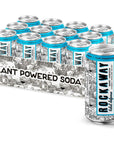 ROCKAWAY Sparkling Water with Adaptogens - 12oz (12 Pack)