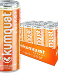 Kumquat Energy Drink - 1 case (12 12oz cans)