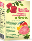 SOLELY Organic Mango and Guava Whole Fruit Gummies, 3.5 oz (5 Bags 0.7 oz each) | Three Ingredients | No Added Sugars, Artificial Colors or Flavors | Vegan Fruit Snacks