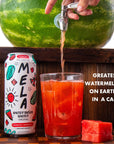 Mela Water Watermelon Juice Drink Electrolytes  Antioxidants Refreshing Hydration Coconut Water Alternative Vitamin C Natural Variety 1115 Fl Oz Pack of 12