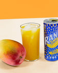 Rani Float Mango Fruit Juice Drink 100 Fruit Juice Content with Real Mango Chunks Imported from Dubai No Added Sugar No Artificial Colors 8oz Pack of 24