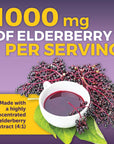 Viva Naturals Elderberry with Vitamin C and Zinc for Adults - 5 in 1 Sambucus Black Elderberry Capsules with Vitamin D3 5000 IU, Elderberries Immune Support Supplement 2 Months Supply Pills