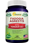 aSquared Nutrition Fadogia Agrestis 1000mg & Tongkat Ali 400mg - 120 Capsules - Fadogia Agrestis Extract Supplement and Powder Complex Pills