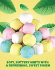 Buttermints Candy in Pastel Colors Bulk Pack 24 Ounces