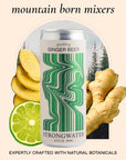 Strongwater Sparkling Ginger Beer  12 Pack Cans 84 Fl Oz Each  Premium Craft Cocktail Mixer Made with Filtered Rocky Mountain Water  Ginger Root  Real Cane Sugar No Artificial Flavors