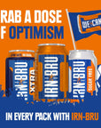 IRNBRU From AG Barr The Original and Best Sparkling Flavored Soft Drink  A Scottish Favorite  330 ML Pack of 24