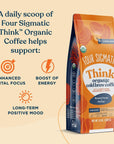 FOUR SIGMATIC Organic Cold Brew Coffee Grounds  Dark Roast Fair Trade Coarse Grounds with Lions Mane and Chaga  Cold Brew Mushroom Coffee for CrashFree Focus  12 oz Bag