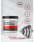 Creatine Monohydrate Powder | 17.6oz (1.1 lb) | Micronized and Unflavored | Vegetarian, Non-GMO, and Gluten Free Supplement | by Horbaach