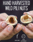 Pili Hunters  Wild Sprouted Pili Nuts Traditional Fried Avocado Oil 5 oz Bag KetoPaleoVegan Snacks Low Carb Energy Gluten Free Superfood The Original As Seen on TV