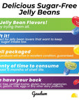 Jelly Belly Assorted Sugar Free Jelly Beans  Sugar Free Candy for Diabetics Zero Sugar Candy Diabetic Candy  Assorted Flavors 3 Bags