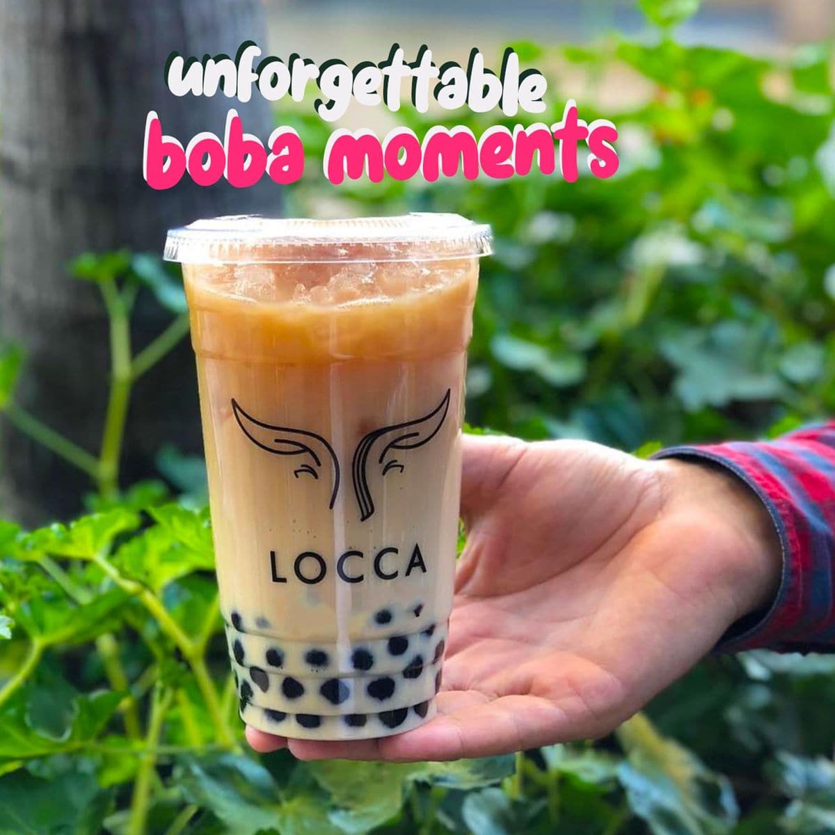 Locca Boba Tea Kit  Black Milk Tea Boba Kit  8 Servings Premium Boba Kit with Chewy Tapioca Pearls  Boba Balls Boba Making Kit for Kids Teens Adults  Sago Pearls Boba Milk Tea Kit  Bubble Tea Set