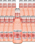 Fever Tree Sparkling Pink Grapefruit Soda  Premium Quality Mixer and Soda  Refreshing Beverage for Cocktails  Mocktails 200ml Bottle  Pack of 15