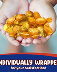 Butterscotch Hard Candy  3 Pounds Approx 225 Pieces of Creamy Butterscotch Drops  Bulk Candy for Holiday Season Holiday Candy Individually Wrapped Christmas Candy Perfect for Sharing and Gifting  Hard Candy Butterscotch