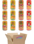 Hawaiian Sun Drinks Orange Variety 3 Cans per Flavor Pack of 12