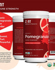 Zint Pomegranate Powder Organic 12 oz Antioxidant Pomegranate Juice Pure Pomegranate Supplement SugarFree USDA Organic NonGMO Vegan