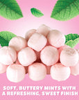 Its a Girl Pink Buttermints Baby Shower Candy FatFree GlutenFree Bulk Pack 24 oz