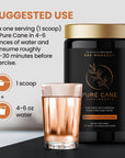 Pure Cane Natural Pre Workout Powder for Men & Women - No Artificial Sweeteners, Sweetend With Natural Pure Cane Sugar- Tropical Fruit Smoothie