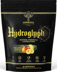 Ambrosia Hydroglyph Electrolytes Powder - 12.38 Ounces