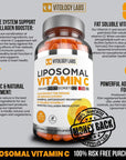 Premium Liposomal Vitamin C 2000mg - 180 Capsules -Ultra Potent High Absorption Ascorbic Acid, Supports Immune System & Collagen Booster - Powerful Antioxidant High Dose - Fat Soluble