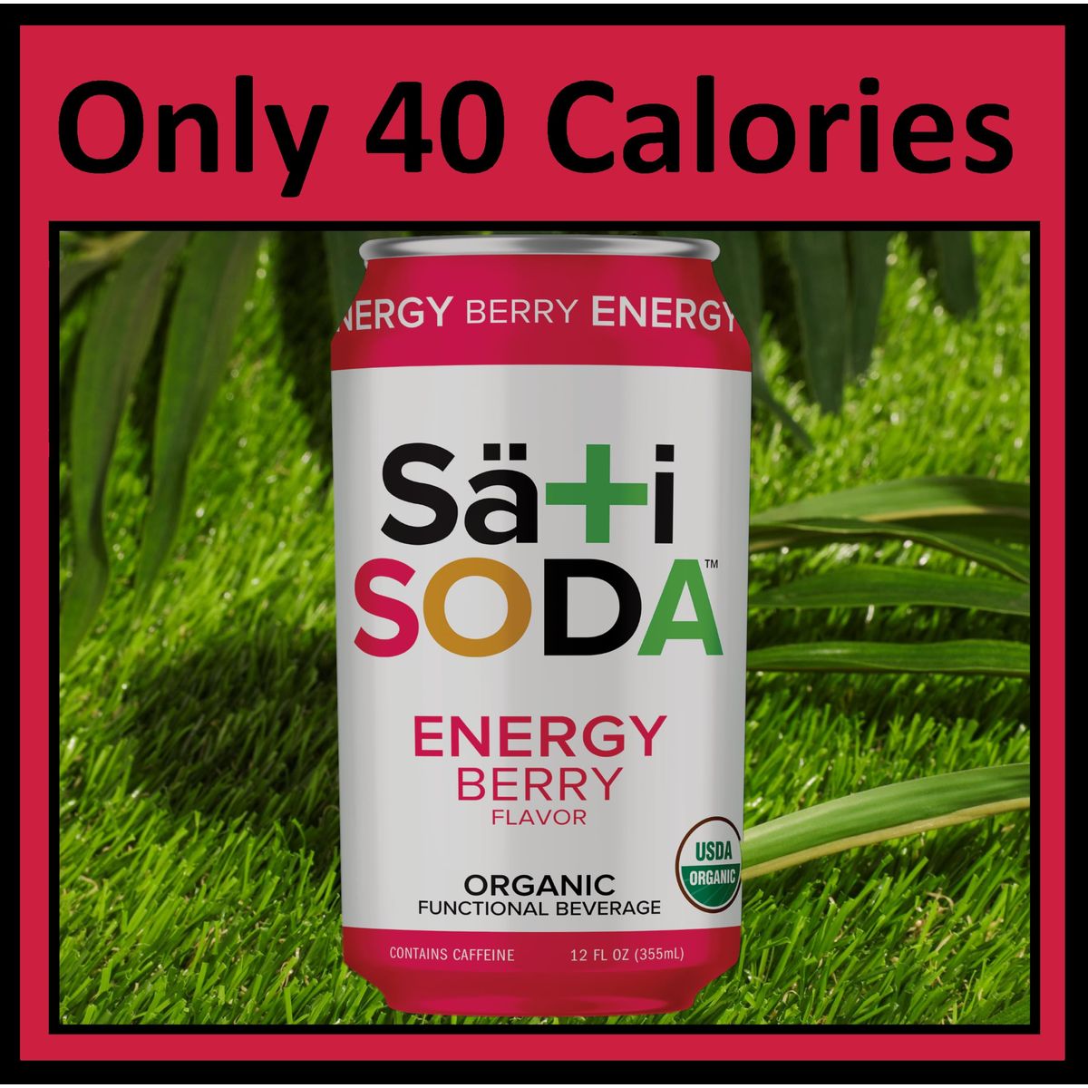 Sati Soda  Organic  Functional 12 Pack  4045 Calories Only 9 Grams of Organic Cane Sugar AllNatural Ingredients with Benefits