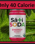 Sati Soda  Organic  Functional 12 Pack  4045 Calories Only 9 Grams of Organic Cane Sugar AllNatural Ingredients with Benefits