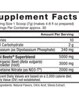 Force Factor Total Beets Drink Mix Superfood Powder with Nitrates to Support Circulation,Blood Flow,Nitric Oxide,Energy,Endurance,and Stamina,Cardiovascular Heart Health Supplement,30 Servings