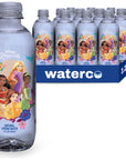 Disney Princess Collection Bottled Water  Naturally Filtered Spring Water in 12 Fl Ounce PET Plastic Bottles Recyclable and BPAFree Case of 12 Artisan Picnic by WaterCo