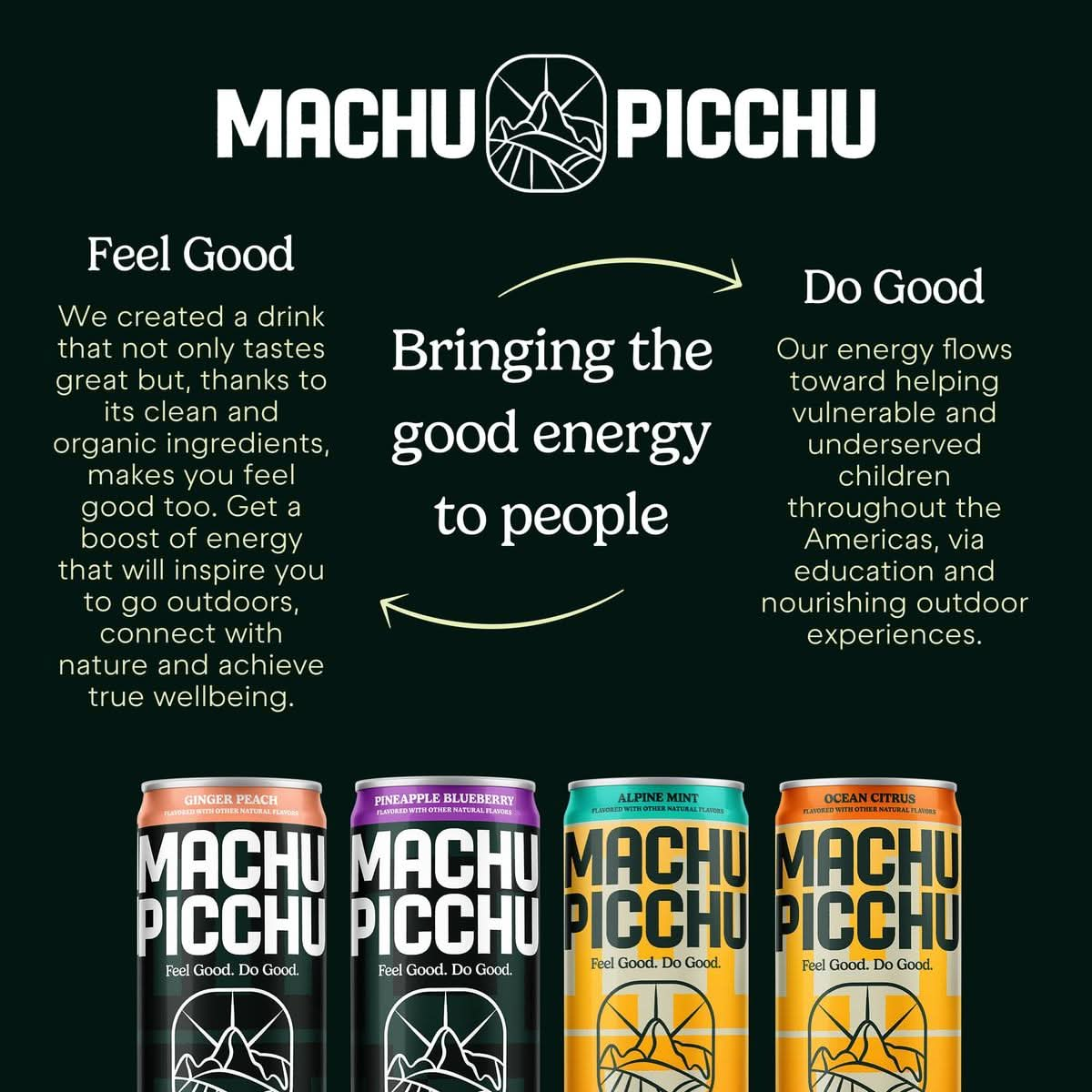 MACHU PICCHU ENERGY Sugar Free Yerba Mate Clean Energy Drink Alternative 12oz Pack of 12  120mg Organic Green Coffee Bean Caffeine Low Calorie USDA Organic No Preservatives Alpine Mint